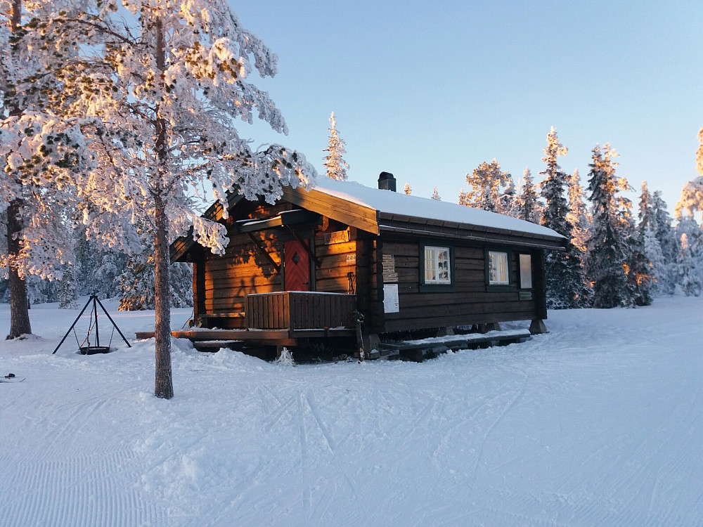 Blåmyrkoia