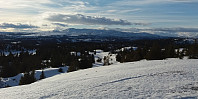 Hansi_20170224_58afff8cd4055.jpg
