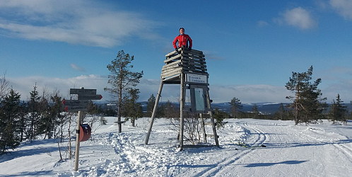 Kristine i tårnet på Skallberget