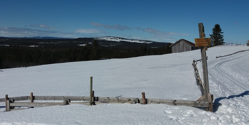 Brumundkampen frå Målia