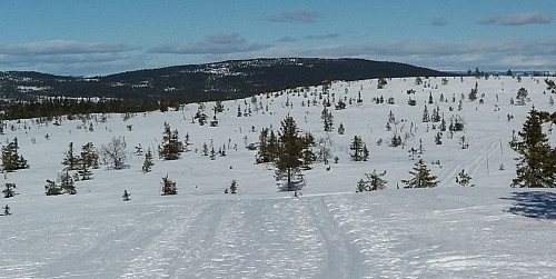 Gitvola frå Målifjellet