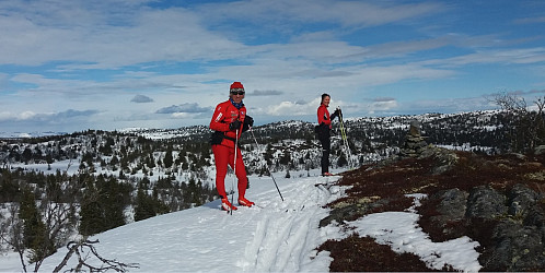 Blesterråkvarden