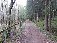 Hansi_20170517_591c467bbbf2e.jpg