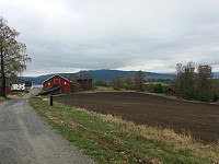 Hansi_20170517_591c46806f0db.jpg