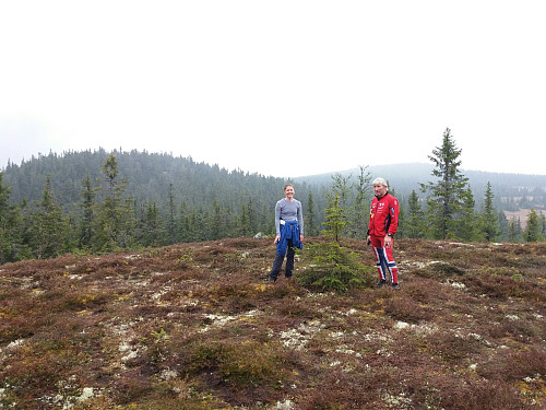 På Østre Veslehaugen, med utsikt mot Storhaugen og Grøtåshaugen
