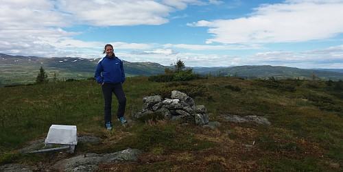 Nylsfjellet nordtoppen