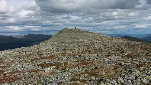 Kleberkakken