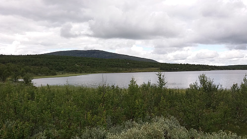 Slivatnet