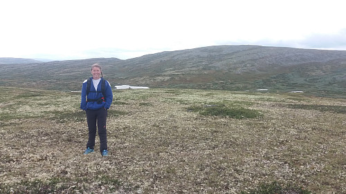 På Måsåfjellet, med Eldåhøgda bak
