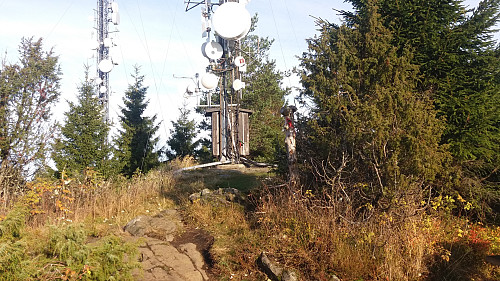 Tur på Kjølaberget ein fritime på jobb. 