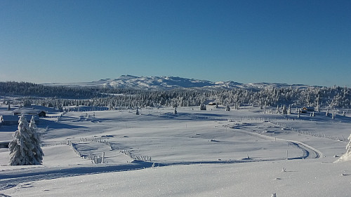 Nysetra og Synnfjellet