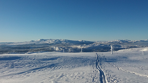 Synnfjellet frå Prestkjerringa