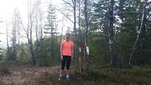 Stolpejakt