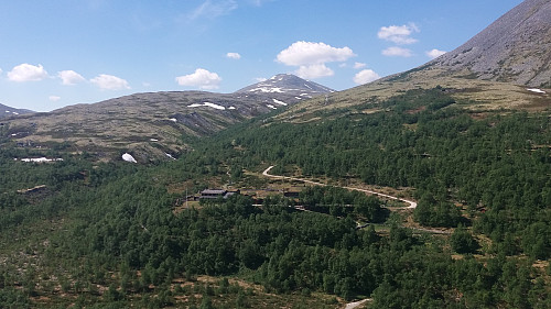 Bjørnhollia