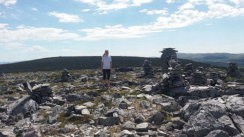 På Renåfjellet Nord