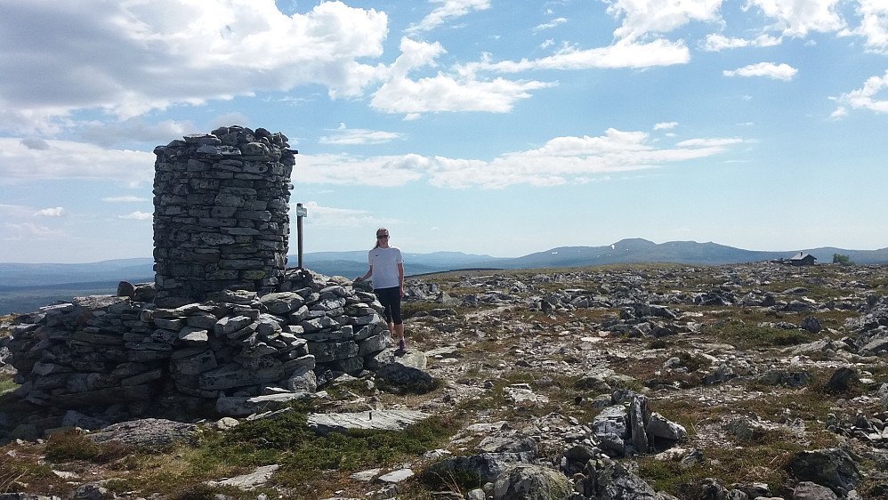 På Renåfjellet