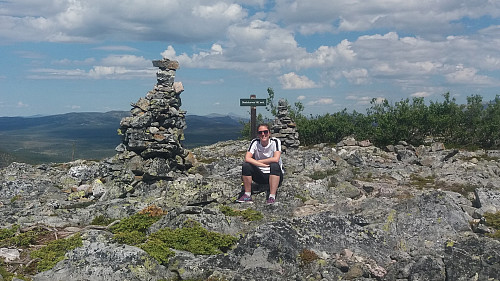 Renåskarven