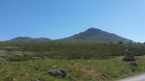 Storhøpiggen