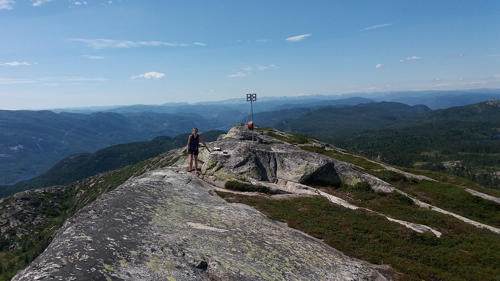 På Roholtfjellet Vest