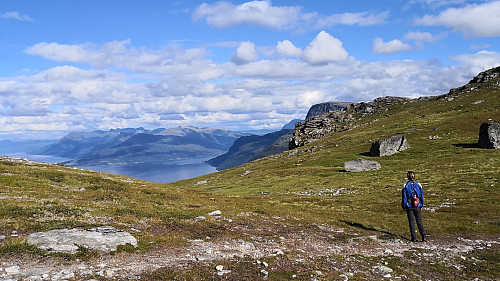 Mot Grovfjorden