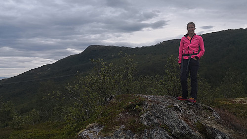 På Middagshaugen, med Kvitnesveten bak