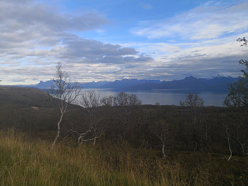 Utsikt mot Narvikfjell