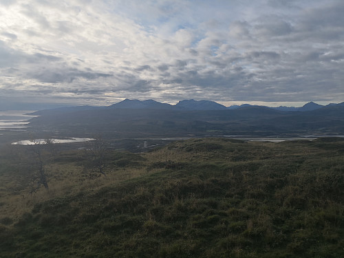Utsikt mot Tjeldøya