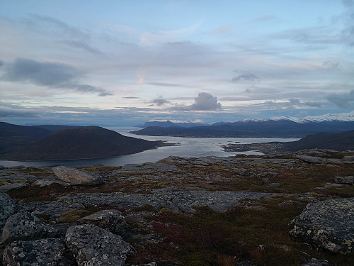 Tjeldsundet