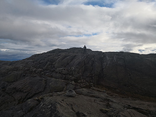 På Kjerfjordhøgda Øst