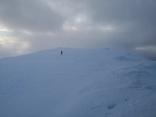 På Trollfjellet