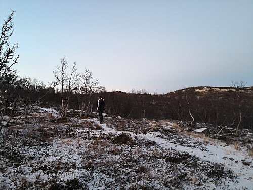 På tur oppover