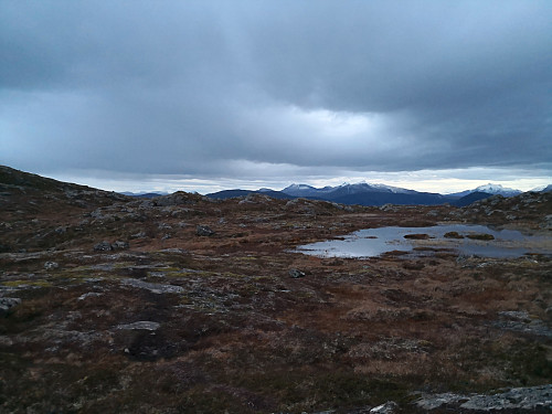 Mot toppane på Tjeldøya