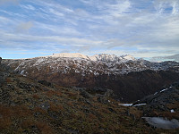 Hansi_20181104_5bdf3cab9b9fc.jpg
