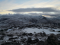 Hansi_20181104_5bdf41a4dd3e2.jpg
