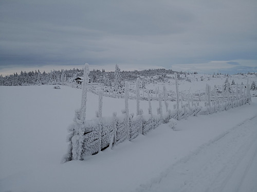På Nysetra