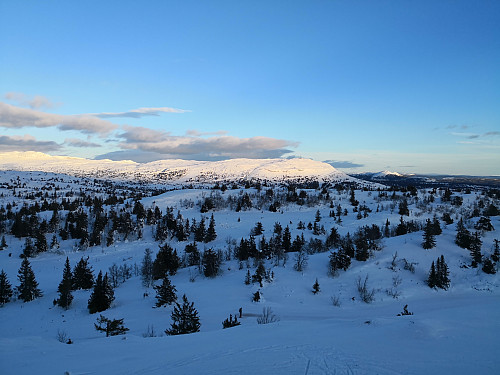 Skeikampen frå Kyrakampen