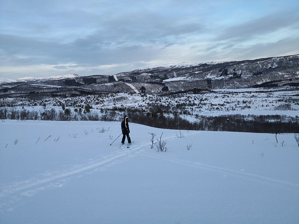 Mot Kvitberget