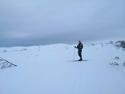 Mot Veggfjellet