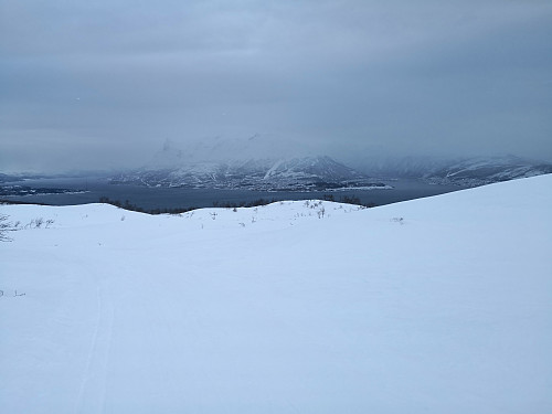 Mot Narvik
