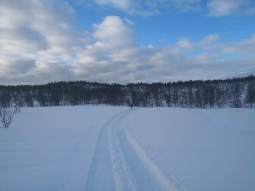 I spora til beltebilen