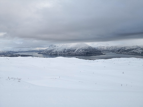Mot Narvik