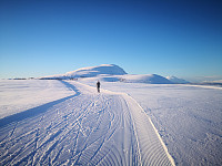 Turen til Helgemauken. Vi starta på om lag 370 moh klokka kvart på tre. Turen: 2t, 8min - 13,2km - 392 hm