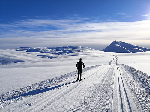 På veg innover skiløypa, Tromsdalstinden ruver