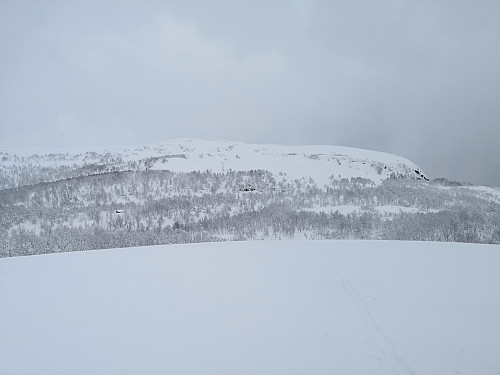 Oppover mot Finnslettheia