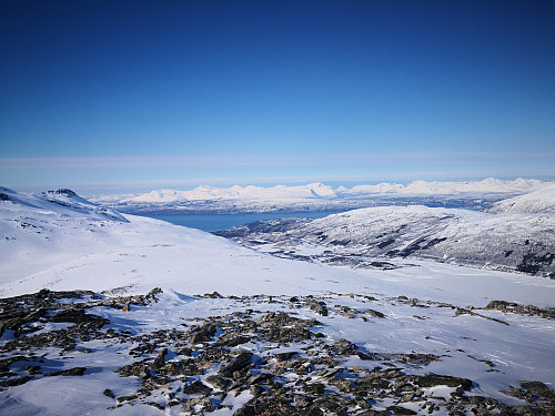 Utsikt frå Lagocohkka mot Narvik og Skånlandfjell
