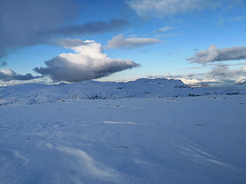 Utsikt frå Finnslettheia nord mot Nattmålsnuten og Sørvikfjellet