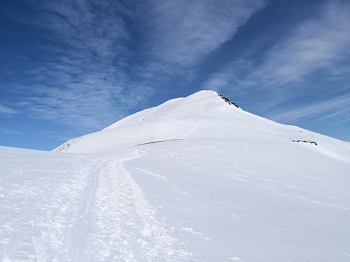 Oppover ryggen