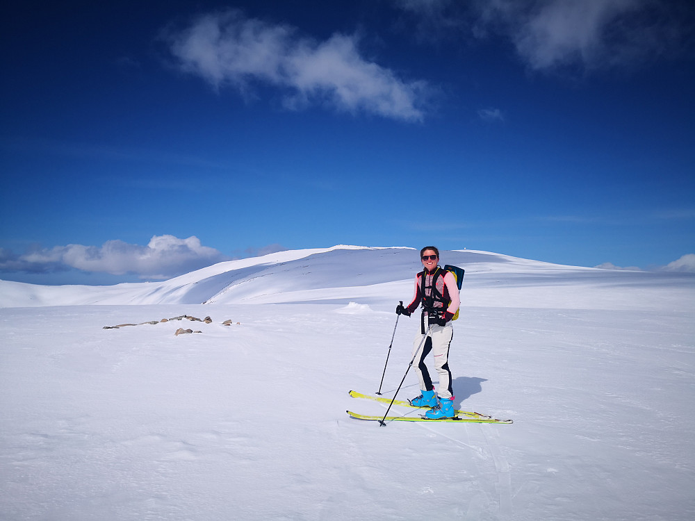 På Akselkollen. Stor-Kjølen bak