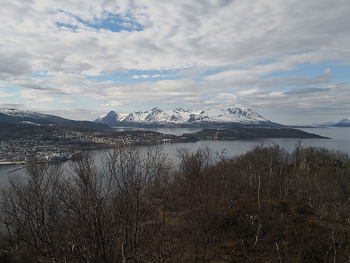 Utsikt frå Gansåsen mot Grytøya