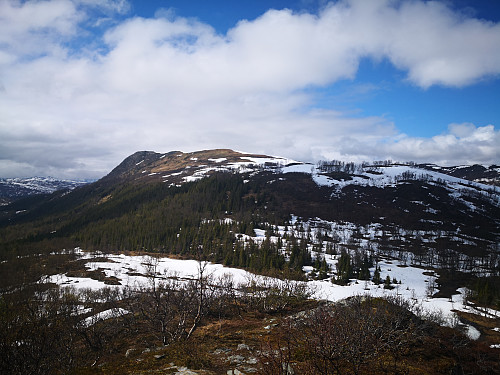 Blåfjellet frå Okloheia